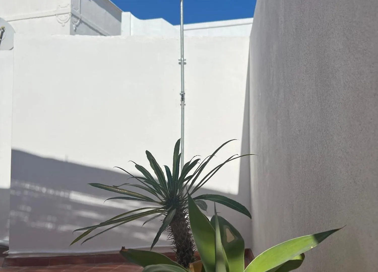 Holiday home Casa Tropical - Maison Typique Dans Le Centre Historique D'Olhao
