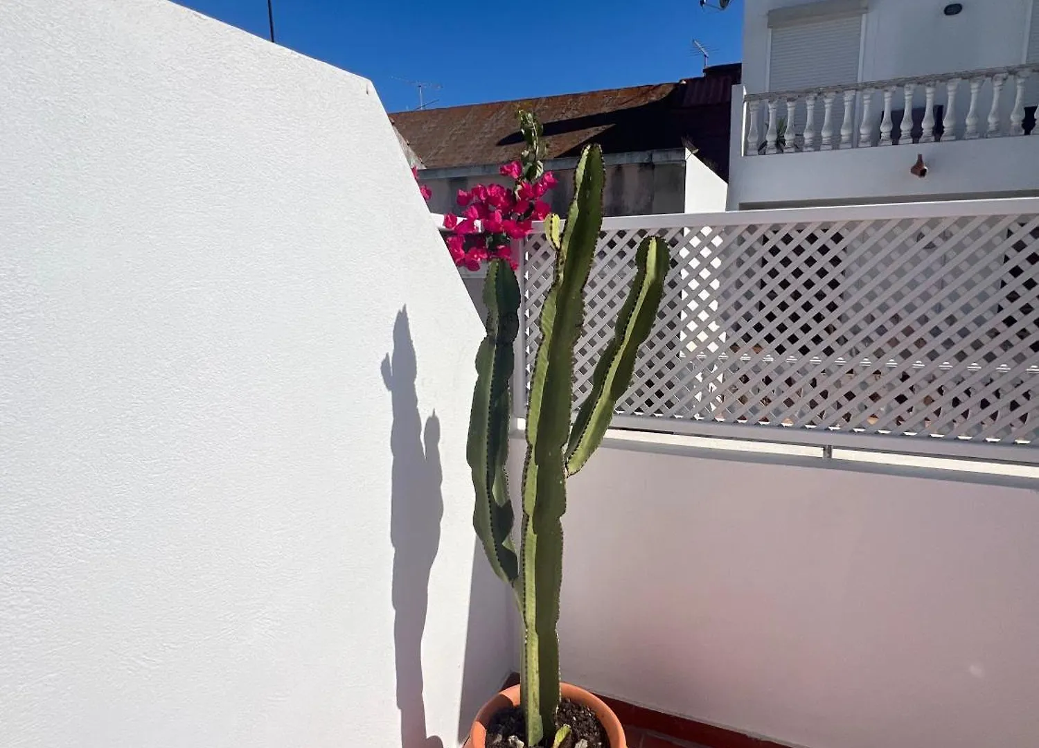 Casa Tropical - Maison Typique Dans Le Centre Historique D'Olhao Portugal
