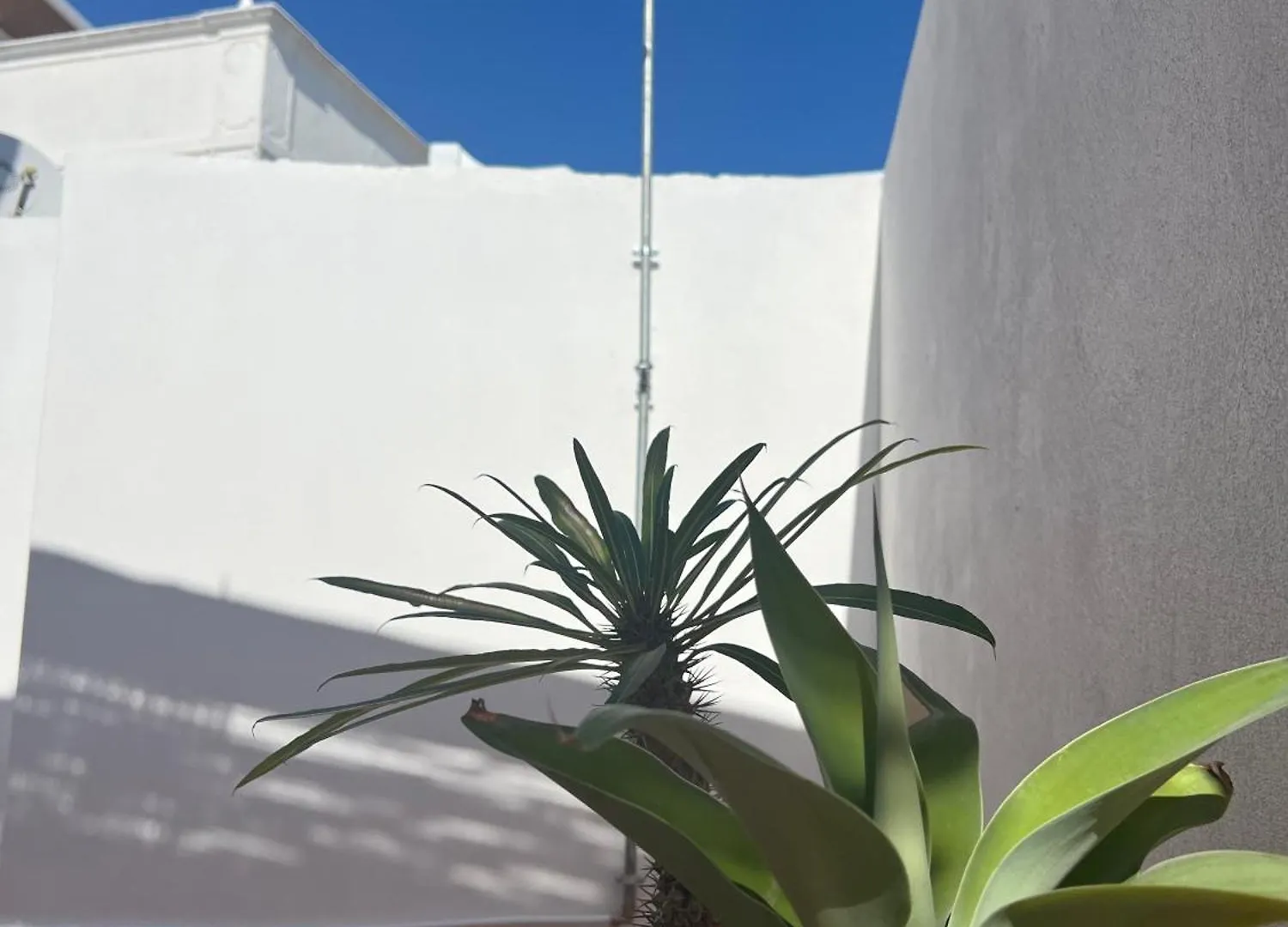 Casa Tropical - Maison Typique Dans Le Centre Historique D'Olhao